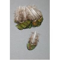 Pfauenfedern Peacock Selected Neck Feathers Gold