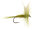 Olive Dun 12