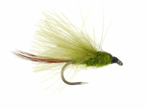 CDC Olive BL