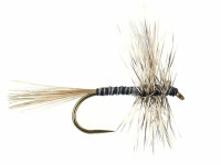 Mosquito BL 12