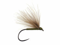 Olive Fratnik Simply Good BL