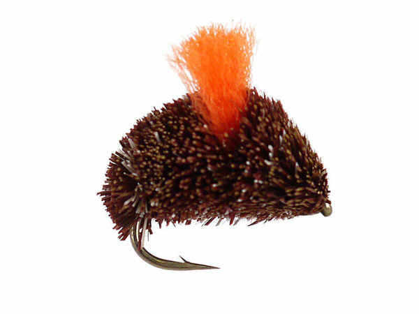 Brown Bisquit 10
