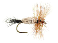 Irrisistable Wulff BL 12