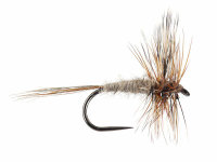 Adams BL